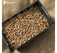 Panier brûleur à pellets pour appareil à bois