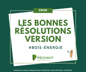 Nouvelle année, et si nous arrêtions de maltraiter nos appareils de chauffage ?