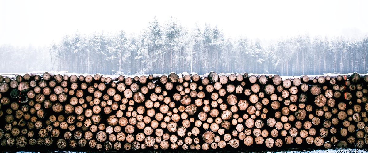 BONNE ANNÉE 2018 AU GRANULE DE BOIS