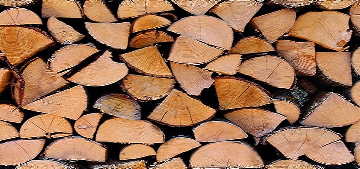 Les Brèves : Puis-je utiliser des bûches densifiées à la place des bûches de bois classiques ?
